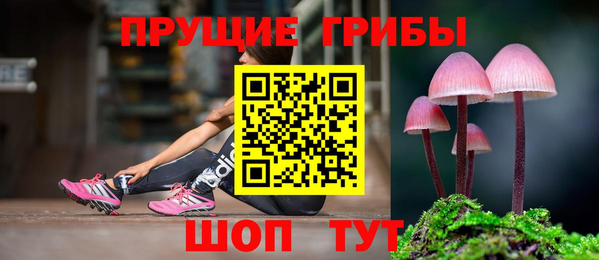 Реутов  хочу   Вход с VPN  Галлюциногенные грибы ЛСД 